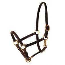 Leather Halter