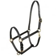 Leather Halter - Economy