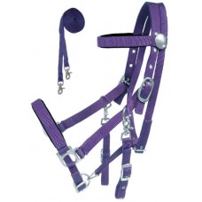 Halter Bridle - Nylon