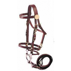 Halter Bridle - Leather