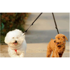 On the Go Double Leash Coupler